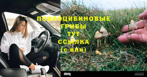 ГАЛЛЮЦИНОГЕННЫЕ ГРИБЫ Балабаново